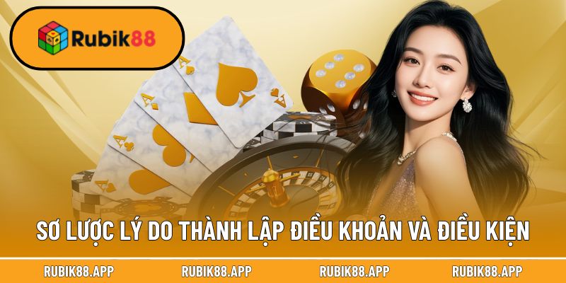 Sơ lược lý do thành lập điều khoản và điều kiện