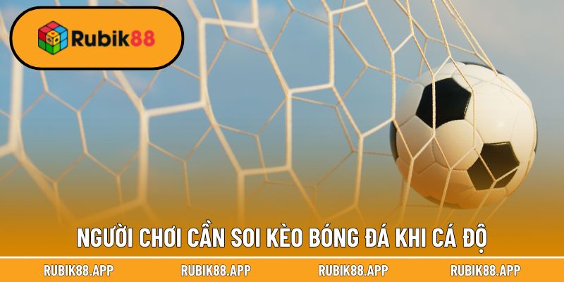 Cách Soi Kèo Bóng Đá - Bí Quyết Cá Độ Chuẩn 99% Của Rubik88 2 Người chơi cần soi kèo bóng đá khi cá độ